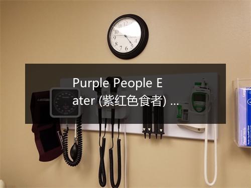 Purple People Eater (紫红色食者) - Girl Authority-歌词