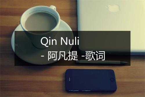 Qin Nuli - 阿凡提 -歌词