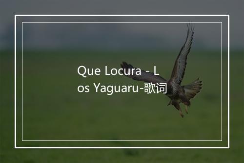 Que Locura - Los Yaguaru-歌词