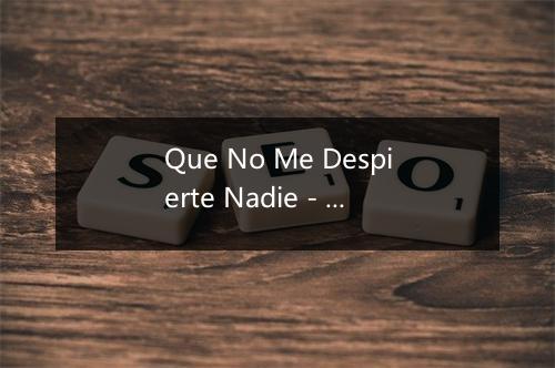 Que No Me Despierte Nadie - Raphael (拉斐尔)-歌词