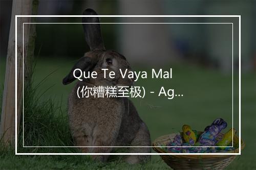 Que Te Vaya Mal (你糟糕至极) - Agustin y la Parranda-歌词