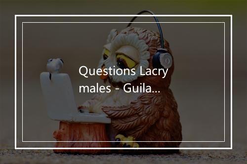 Questions Lacrymales - Guilam-歌词