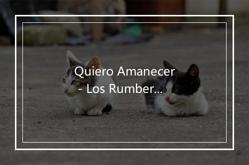 Quiero Amanecer - Los Rumberos del Caribe-歌词