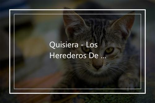 Quisiera - Los Herederos De Nuevo Leon-歌词_2