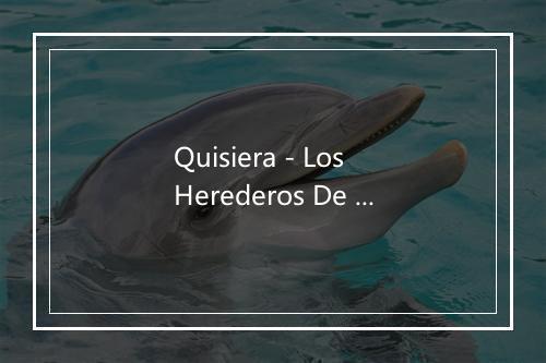 Quisiera - Los Herederos De Nuevo Leon-歌词_3