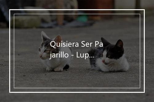 Quisiera Ser Pajarillo - Lupe Y Polo-歌词