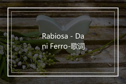 Rabiosa - Dani Ferro-歌词