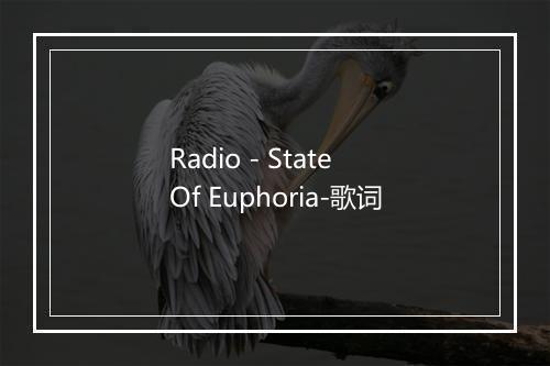 Radio - State Of Euphoria-歌词