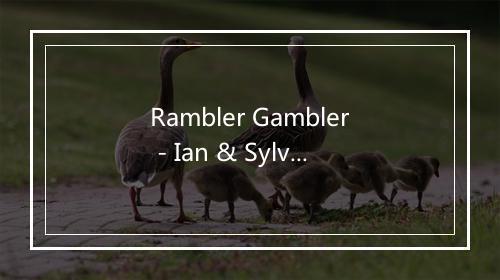 Rambler Gambler - Ian & Sylvia-歌词_3