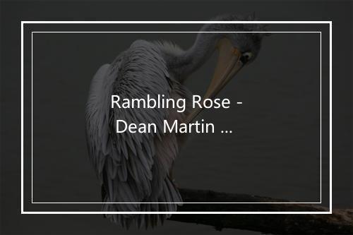 Rambling Rose - Dean Martin (迪安·马丁)-歌词