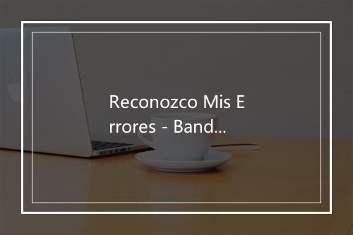 Reconozco Mis Errores - Banda La Trakalosa-歌词