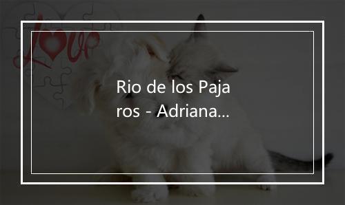 Rio de los Pajaros - Adriana Nano-歌词