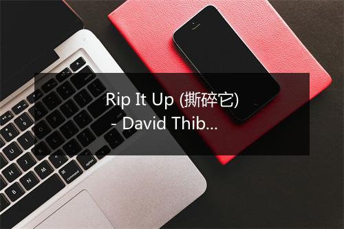 Rip It Up (撕碎它) - David Thibault-歌词