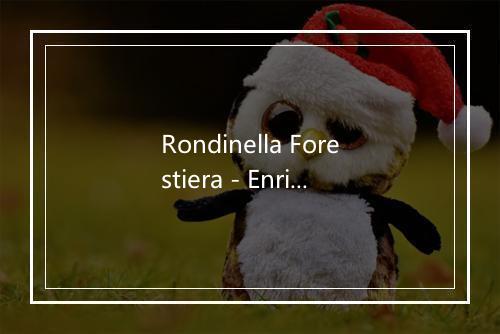 Rondinella Forestiera - Enrico Musiani-歌词