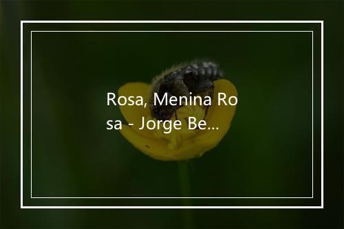 Rosa, Menina Rosa - Jorge Ben Jor-歌词_2