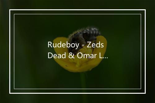 Rudeboy - Zeds Dead & Omar LinX-歌词