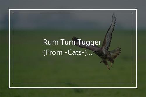 Rum Tum Tugger (From -Cats-) - Musical Mania-歌词