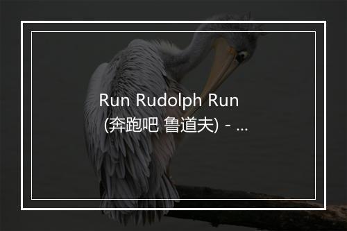 Run Rudolph Run (奔跑吧 鲁道夫) - Christmas Favourites-歌词_1