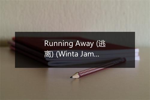 Running Away (逃离) (Winta James Mix) - Ady Suleiman-歌词