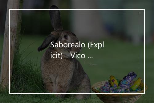 Saborealo (Explicit) - Vico C-歌词_1