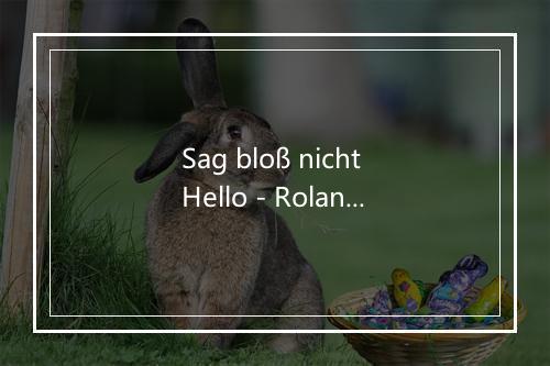 Sag bloß nicht Hello - Roland Kaiser-歌词