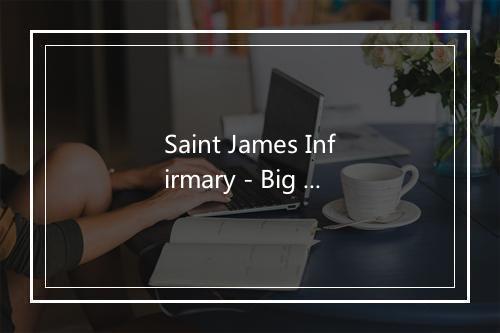 Saint James Infirmary - Big Mama-歌词