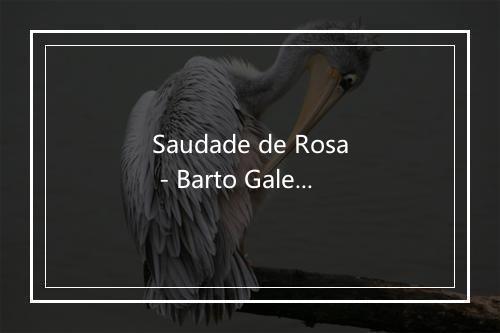 Saudade de Rosa - Barto Galeno-歌词