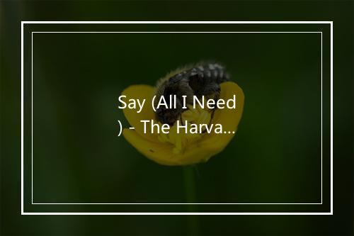 Say (All I Need) - The Harvard Opportunes-歌词