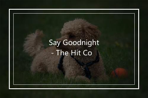 Say Goodnight - The Hit Co