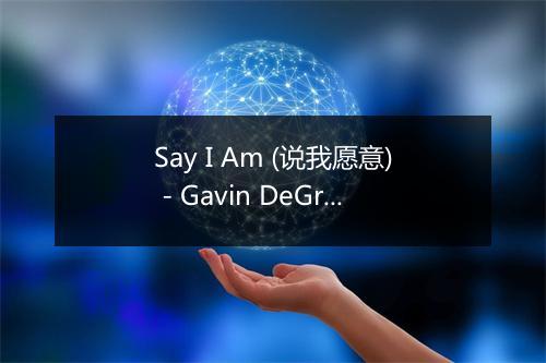 Say I Am (说我愿意) - Gavin DeGraw-歌词