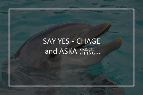 SAY YES - CHAGE and ASKA (恰克与飞鸟)-歌词