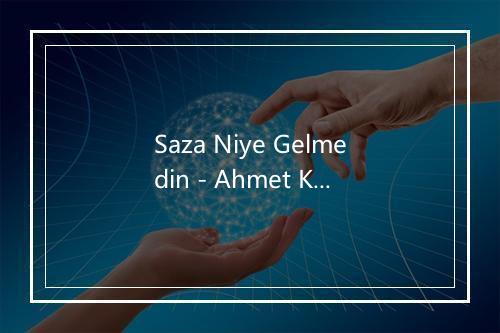 Saza Niye Gelmedin - Ahmet Kaya-歌词