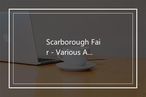 Scarborough Fair - Various Artists-歌词_1