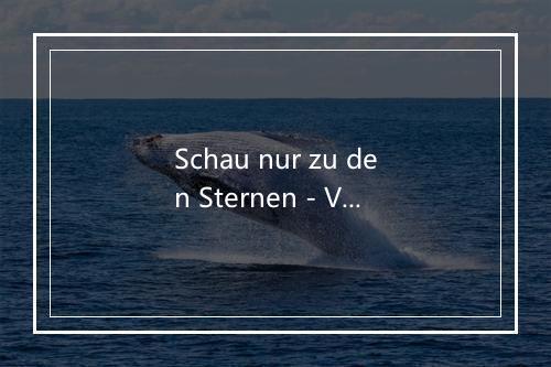 Schau nur zu den Sternen - Vico Torriani-歌词