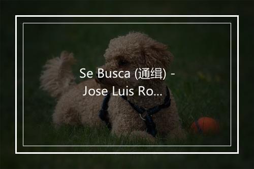 Se Busca (通缉) - Jose Luis Rodriguez-歌词