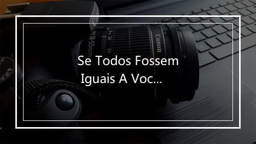 Se Todos Fossem Iguais A Voce - Elizeth Cardoso-歌词