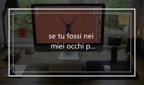 se tu fossi nei miei occhi per un giorno-歌词