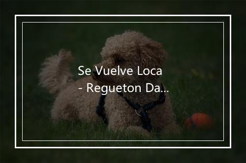 Se Vuelve Loca - Regueton Dance Studio-歌词