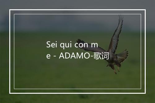 Sei qui con me - ADAMO-歌词