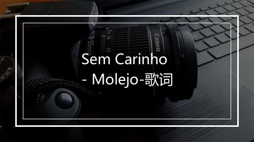 Sem Carinho - Molejo-歌词