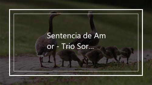 Sentencia de Amor - Trio Sorpresa Veracruzana-歌词