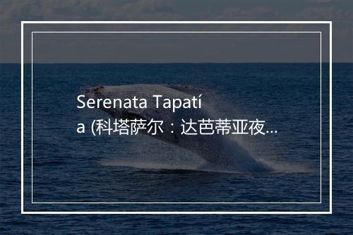 Serenata Tapatía (科塔萨尔：达芭蒂亚夜曲) - Jorge Negrete-歌词