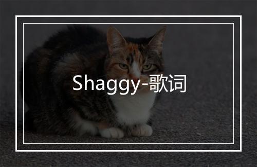 Shaggy-歌词