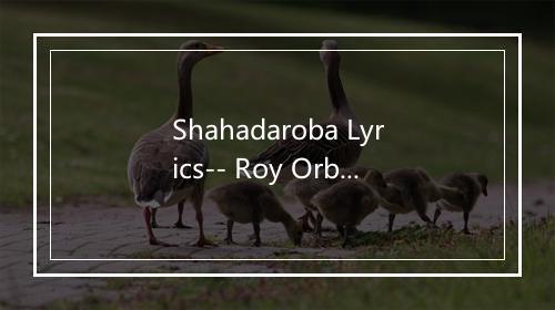 Shahadaroba Lyrics-- Roy Orbison-歌词_3