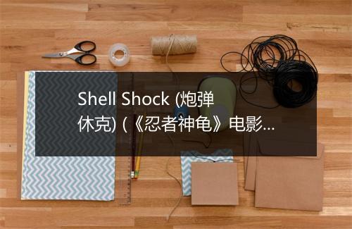 Shell Shock (炮弹休克) (《忍者神龟》电影插曲) - Gym Class Heroes (体操课英雄乐队)-歌词