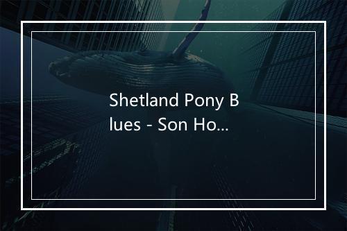 Shetland Pony Blues - Son House-歌词