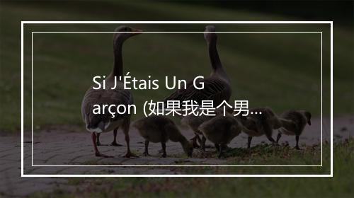 Si J'Étais Un Garçon (如果我是个男孩) - France Gall (法兰西·戈露)-歌词