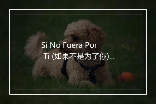 Si No Fuera Por Ti (如果不是为了你) - Los Románticos De La Balada-歌词