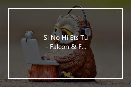 Si No Hi Ets Tu - Falcon & Firkin-歌词