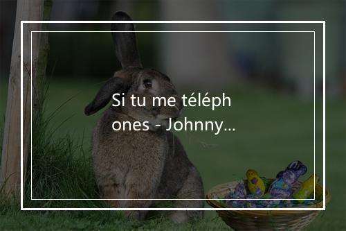 Si tu me téléphones - Johnny Hallyday-歌词_3